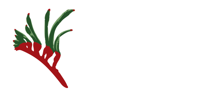 Austplant