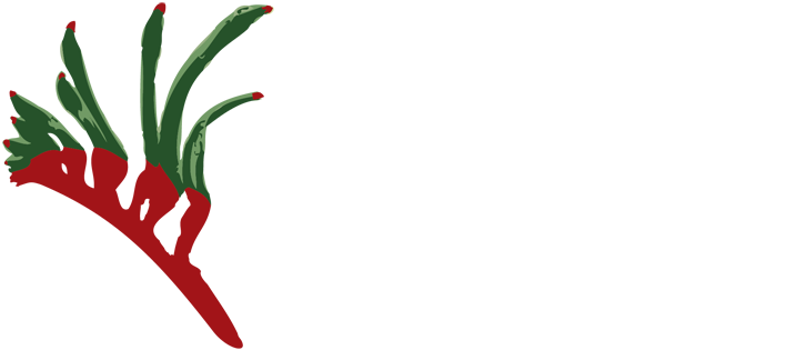 Austplant_logo latest
